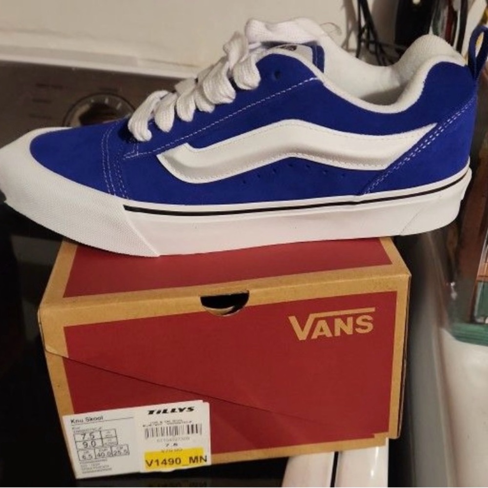 Vans Royal Blue and White Skate Shoes